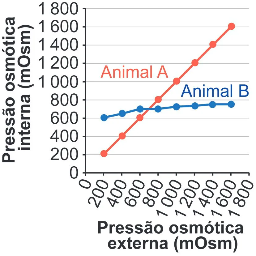 Gráfico da alternativa A da questão 105 do ENEM 2024.