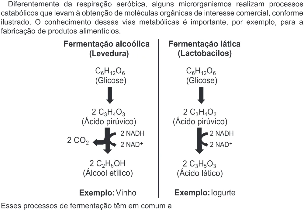 Trecho original com figura, tabela ou fórmula da questão 106 do ENEM 2022 - 2º Dia – Caderno 6 – Cinza (Ampliada) – Reaplicação/PPL.