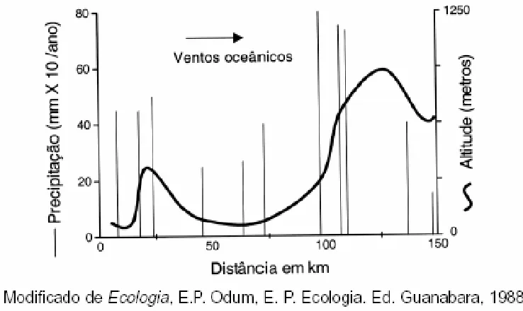 Trecho original com figura, tabela ou fórmula da questão 36 do ENEM 2002 - Caderno Amarelo.