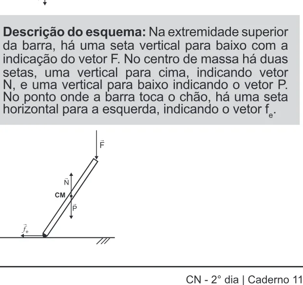 Alternativa B da questão 123 do ENEM 2022 - 2º Dia – Caderno 11 – Laranja (braile e ledor) – Aplicação Regular.