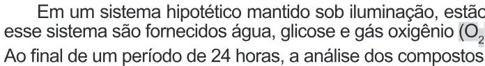 Trecho original com figura, tabela ou fórmula da questão 111 do ENEM 2022 - 2º Dia – Caderno 11 – Laranja (braile e ledor) – Reaplicação/PPL.