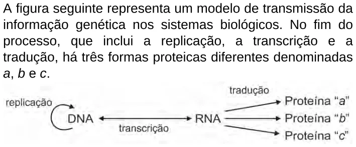 Trecho original com figura, tabela ou fórmula da questão 16 do ENEM 2009 - 1º Dia - Caderno 2 - Amarelo.