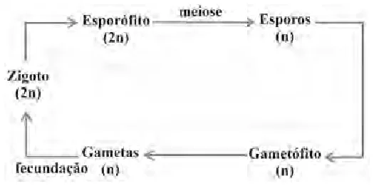 Alternativa A da questão 22 do ENEM 2009 - 1º Dia - Caderno 2 - Amarelo.