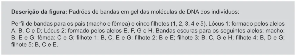 Trecho original com figura, tabela ou fórmula da questão 108 do ENEM 2019 - 2º Dia – Caderno 11 – Laranja – Reaplicação/PPL.