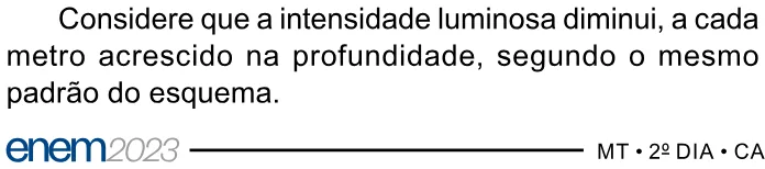 Trecho original com figura, tabela ou fórmula da questão 179 do ENEM 2023 - 2º Dia – Caderno 6 – Cinza – Aplicação Regular.