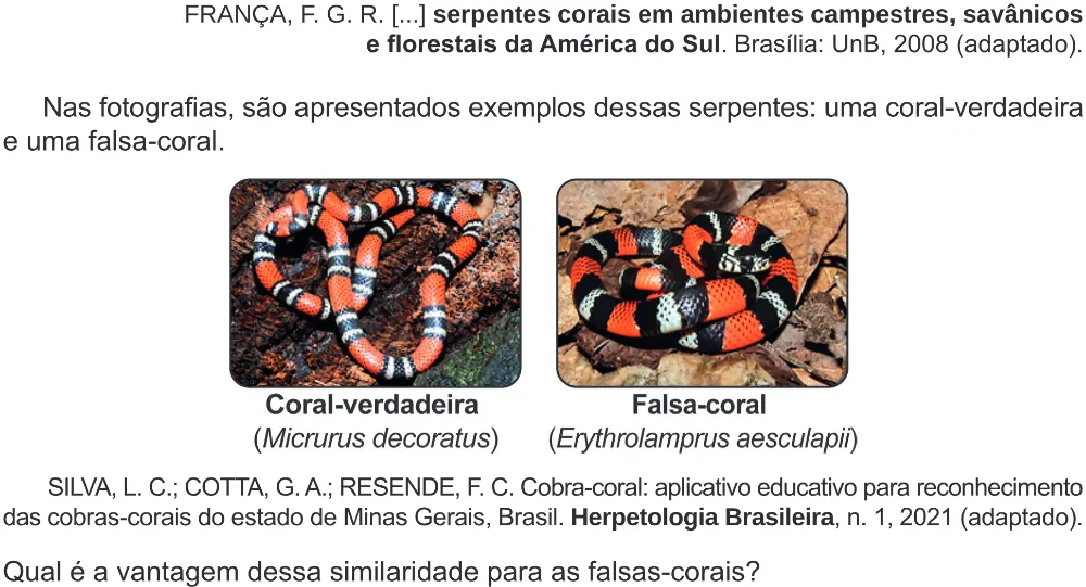 Trecho original com figura, tabela ou fórmula da questão 91 do ENEM 2024 - 2º Dia – Caderno 8 – Verde – Aplicação Regular - (Ampliada).