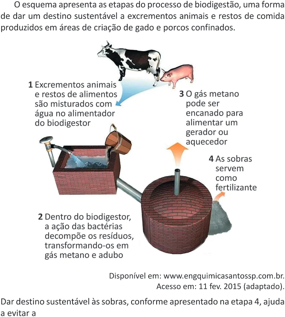 Trecho original com figura, tabela ou fórmula da questão 105 do ENEM 2025 - 2º Dia – Caderno 11 – Laranja (Braile e ledor) – Aplicação Regular - (Superampliada).