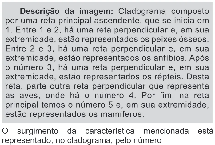 Trecho original com figura, tabela ou fórmula da questão 90 do ENEM 2015 - 1º Dia - Caderno 11 - Branco – Reaplicação/PPL - Ledor.