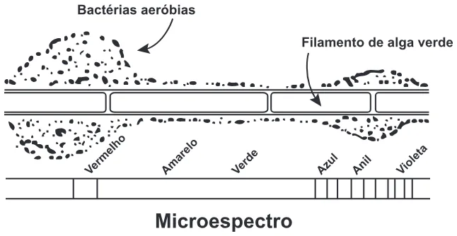 Trecho original com figura, tabela ou fórmula da questão 107 do ENEM 2020 - 2º Dia - Caderno 8 – Rosa – Aplicação Regular.