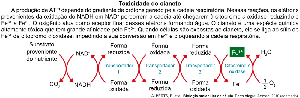 Trecho original com figura, tabela ou fórmula da questão 101 do ENEM 2023 - 2º Dia – Caderno 12 – Verde (Libras) – Aplicação Regular.