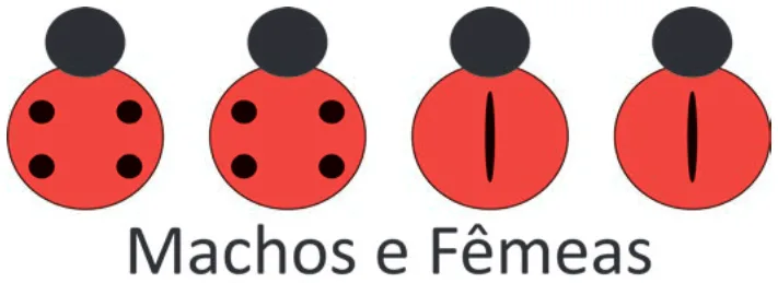 Alternativa D da questão 101 do ENEM 2025 - 2º Dia – Caderno 11 – Laranja (Braile e ledor) – Aplicação Regular - (Superampliada).