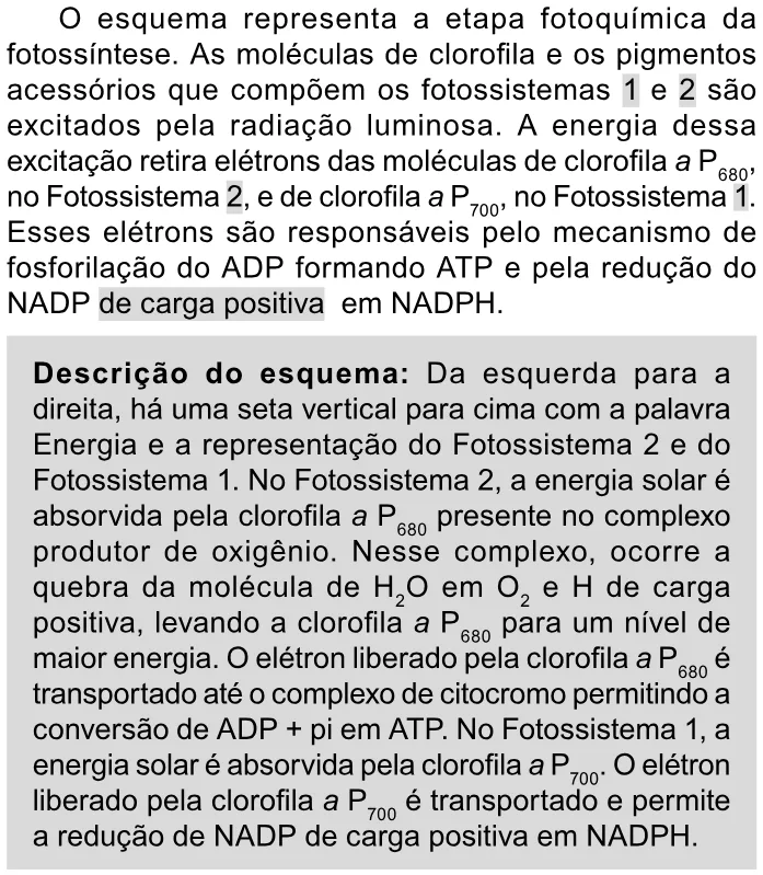 Trecho original com figura, tabela ou fórmula da questão 102 do ENEM 2023 - 2º Dia – Caderno 11 – Laranja (braile e ledor) – Reaplicação/PPL.