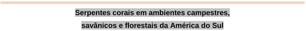 Trecho original com figura, tabela ou fórmula da questão 91 do ENEM 2024 - 2º Dia – Caderno 11 – Laranja (braile e ledor) – Aplicação Regular - Leitor de tela (NVDA).