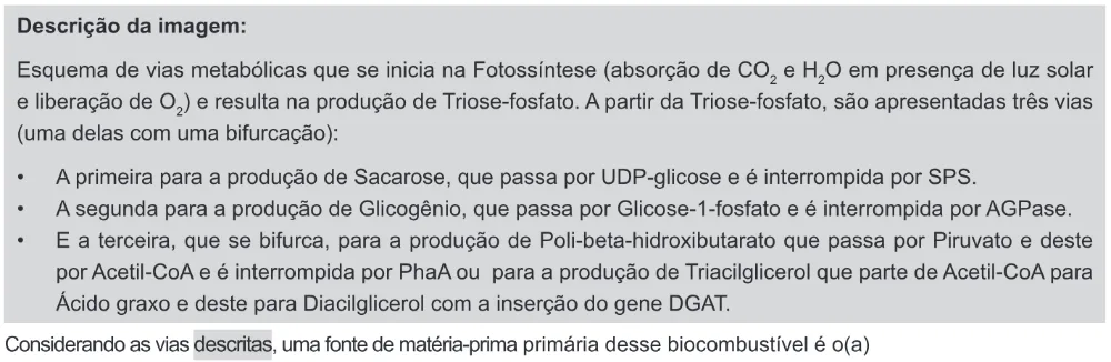 Trecho original com figura, tabela ou fórmula da questão 116 do ENEM 2017 - 2º Dia - Caderno 11 - Laranja – Reaplicação/PPL - Ledor.
