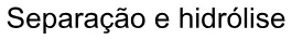 Alternativa D da questão 124 do ENEM 2020 - 2º Dia - Caderno 5 – Amarelo – Aplicação digital.