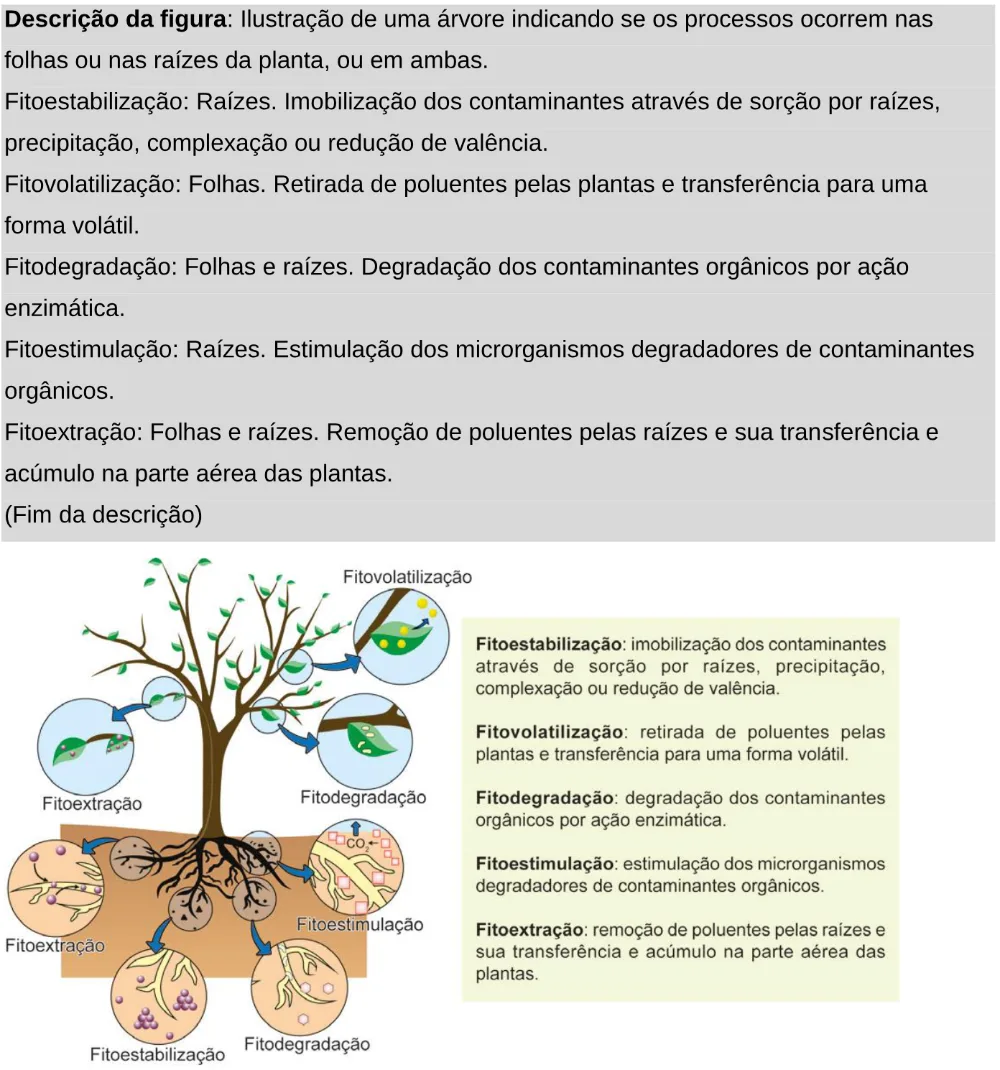Trecho original com figura, tabela ou fórmula da questão 118 do ENEM 2024 - 2º Dia – Caderno 11 – Laranja (braile e ledor) – Aplicação Regular - Leitor de tela (NVDA).