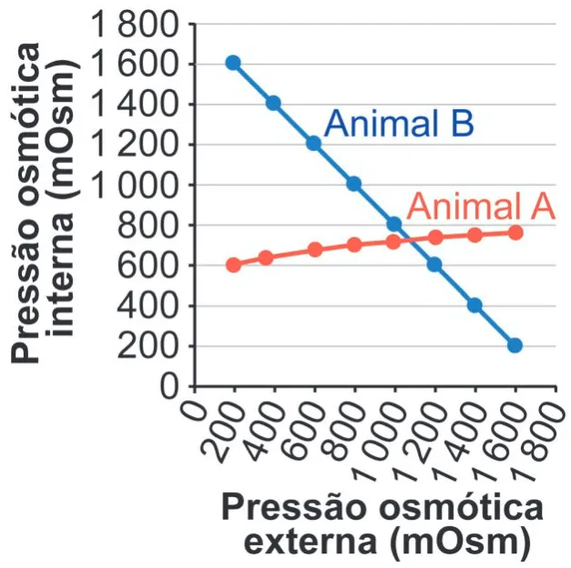 Gráfico da alternativa C da questão 105 do ENEM 2024.