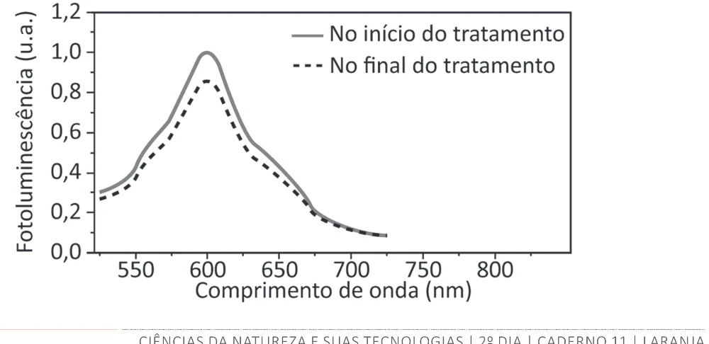 Alternativa C da questão 126 do ENEM 2025 - 2º Dia – Caderno 11 – Laranja (Braile e ledor) – Aplicação Regular - (Superampliada).