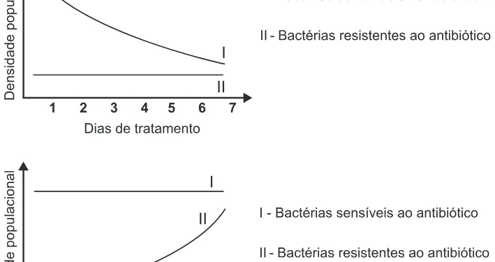 Alternativa D da questão 59 do ENEM 2015 - 1º Dia - Caderno 10 - Branco – Reaplicação/PPL.
