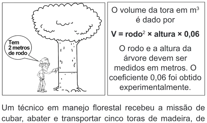 Trecho original com figura, tabela ou fórmula da questão 158 do ENEM 2010 - Dia 2 - Caderno 6 - Cinza – Aplicação regular.