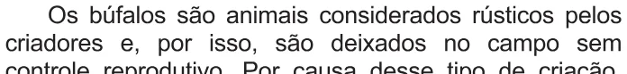 Trecho original com figura, tabela ou fórmula da questão 99 do ENEM 2021 - 2º Dia – Caderno 8 – Rosa – Aplicação Regular.