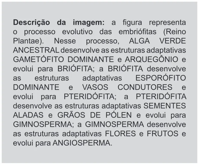 Trecho original com figura, tabela ou fórmula da questão 83 do ENEM 2012 - 1º Dia - Caderno 3 - Branco – Ledor.