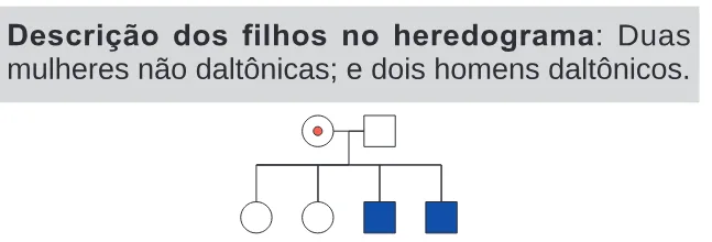 Alternativa D da questão 93 do ENEM 2024 - 2º Dia – Caderno 11 – Laranja (braile e ledor) – Aplicação Regular.