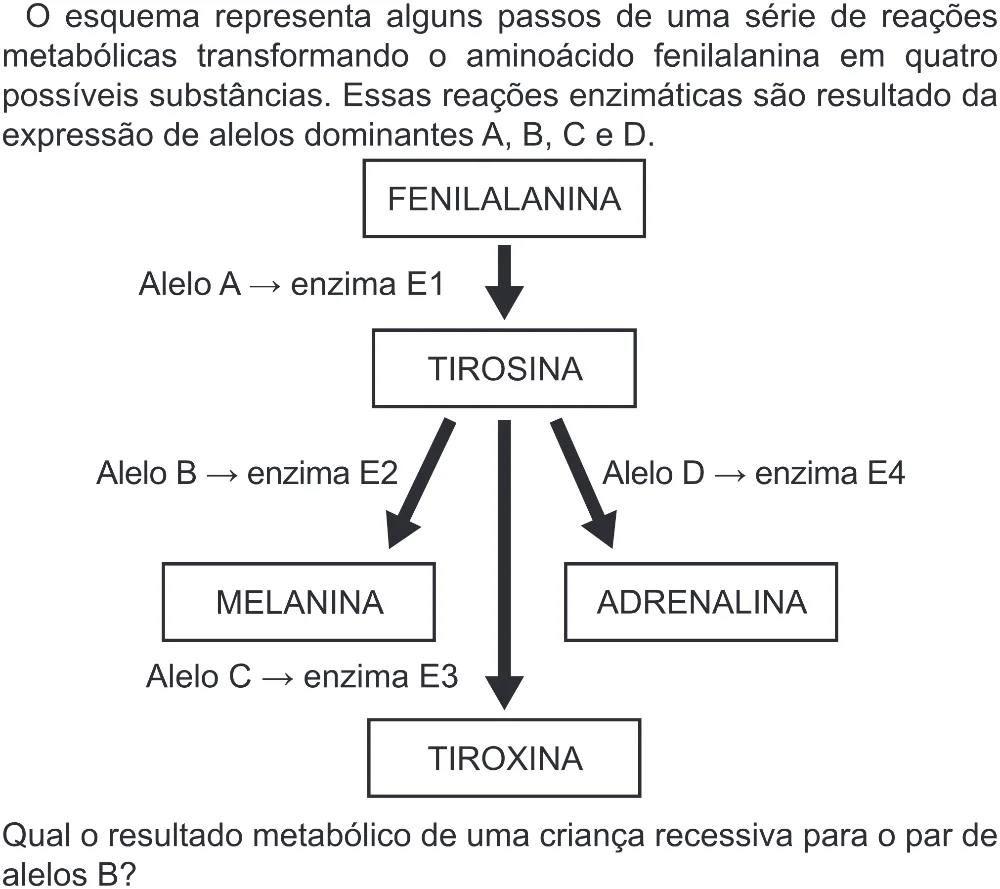 Trecho original com figura, tabela ou fórmula da questão 91 do ENEM 2022 - 2º Dia – Caderno 6 – Cinza (Superampliada) – Reaplicação/PPL.