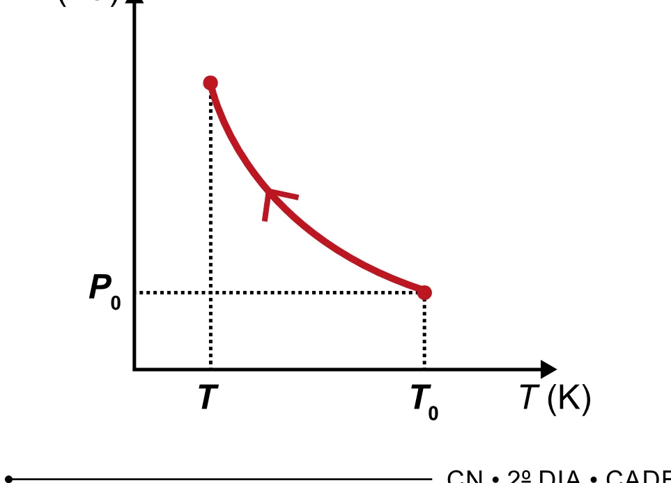 Alternativa C da questão 98 do ENEM 2023 - 2º Dia – Caderno 8 – Rosa – Aplicação Regular - (Ampliada).