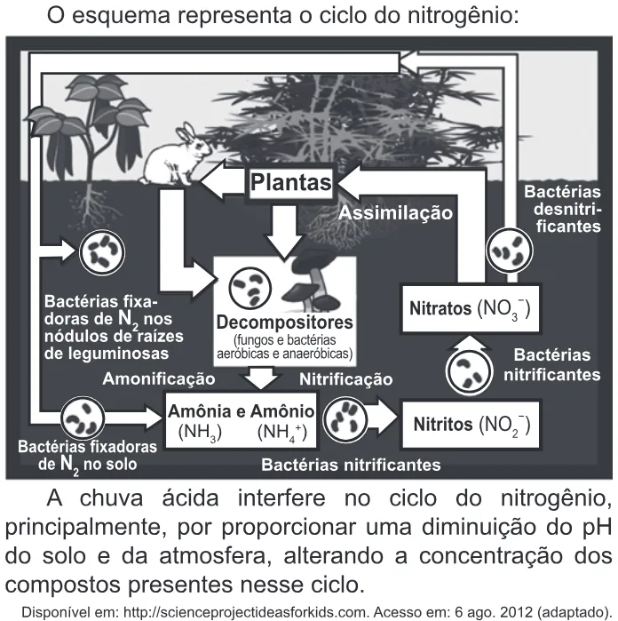Trecho original com figura, tabela ou fórmula da questão 129 do ENEM 2022 - 2º Dia – Caderno 7 – Azul – Aplicação Regular.