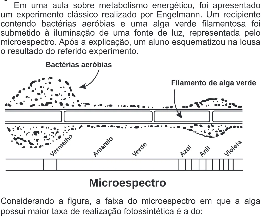 Trecho original com figura, tabela ou fórmula da questão 107 do ENEM 2020 - 2º Dia - Caderno 8 – Rosa (Superampliada) – Aplicação Regular.