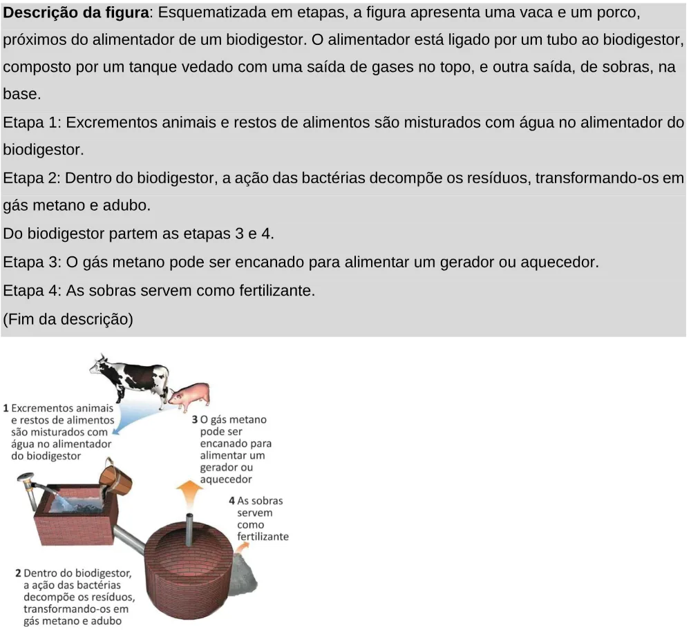 Trecho original com figura, tabela ou fórmula da questão 105 do ENEM 2025 - 2º Dia – Caderno 11 – Laranja (Braile e ledor) – Aplicação Regular - Leitor de tela (NVDA).