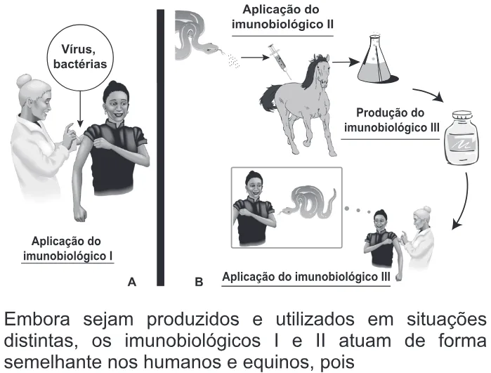 Trecho original com figura, tabela ou fórmula da questão 88 do ENEM 2014 - 1º Dia - Caderno 2 - Amarelo – Aplicação regular.