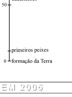 Alternativa A da questão 10 do ENEM 2006 - Caderno Amarelo.