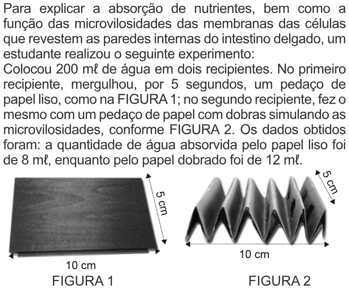 Trecho original com figura, tabela ou fórmula da questão 66 do ENEM 2010 - Dia 1 - Caderno 2 - Amarelo – Aplicação regular.