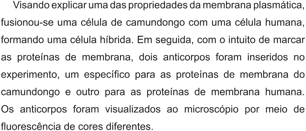 Trecho original com figura, tabela ou fórmula da questão 98 do ENEM 2017 - 2º Dia - Caderno 5 – Amarelo (Superampliada) – Aplicação regular.