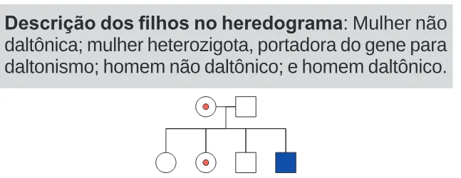 Alternativa B da questão 93 do ENEM 2024 - 2º Dia – Caderno 11 – Laranja (braile e ledor) – Aplicação Regular.