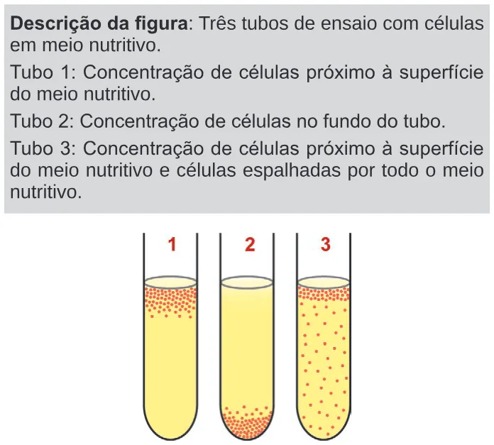 Trecho original com figura, tabela ou fórmula da questão 131 do ENEM 2024 - 2º Dia – Caderno 11 – Laranja (braile e ledor) – Aplicação Regular.