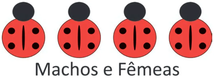 Alternativa C da questão 101 do ENEM 2025 - 2º Dia – Caderno 11 – Laranja (Braile e ledor) – Aplicação Regular - (Superampliada).