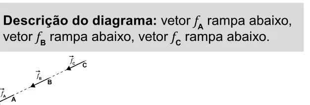 Alternativa D da questão 122 do ENEM 2023 - 2º Dia – Caderno 11 – Laranja (braile e ledor) – Reaplicação/PPL.