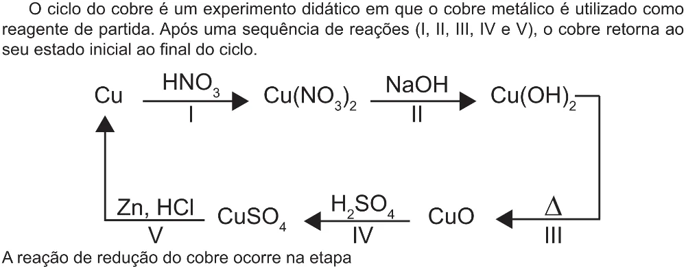 Trecho original com figura, tabela ou fórmula da questão 124 do ENEM 2021 - 2º Dia – Caderno 12 – Verde (Libras – Ampliada) – Aplicação Regular.