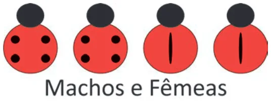 Alternativa D da questão 101 do ENEM 2025 - 2º Dia – Caderno 12 – Roxo (Libras) – Aplicação Regular - (Ampliada).