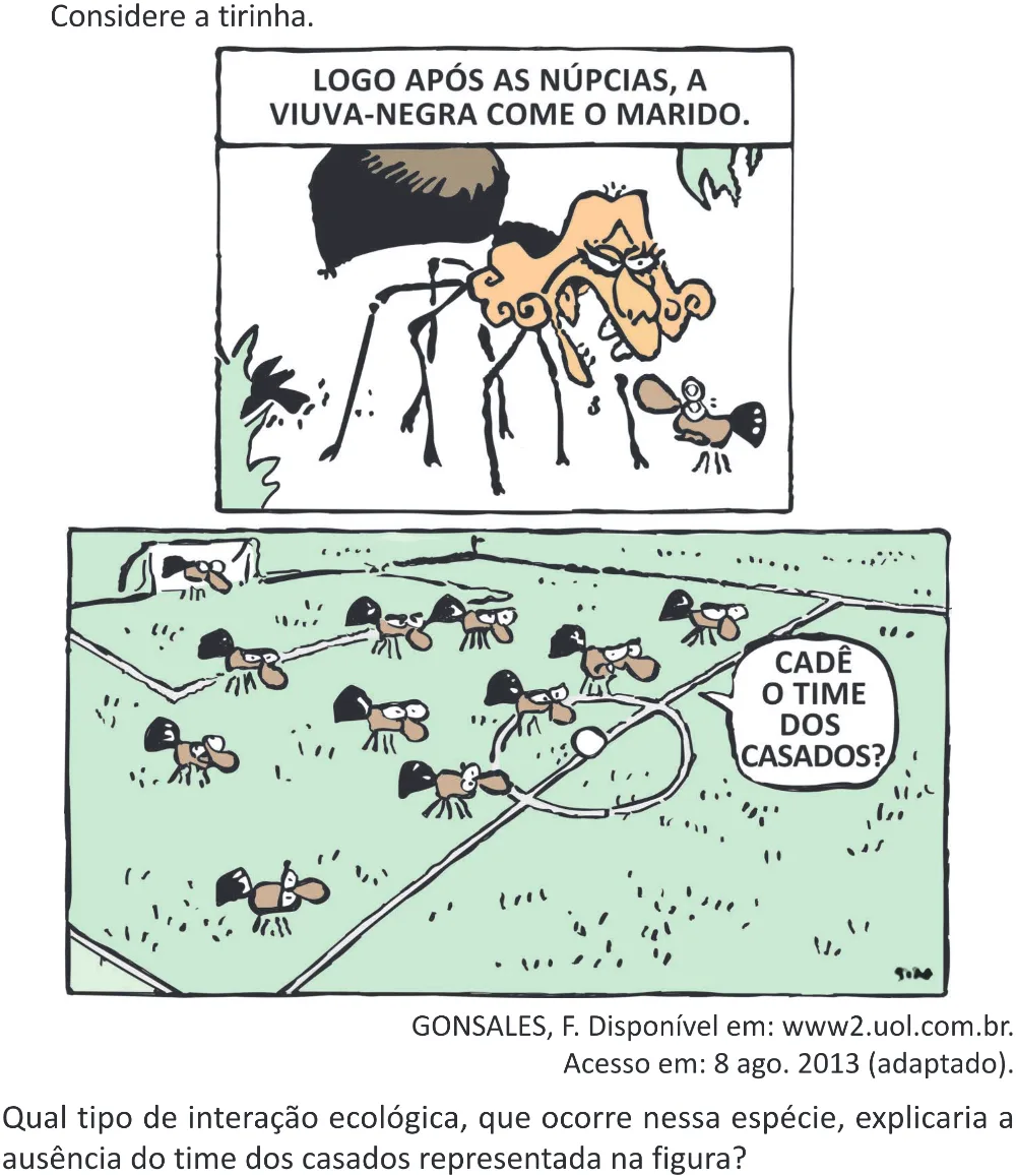 Trecho original com figura, tabela ou fórmula da questão 96 do ENEM 2025 - 2º Dia – Caderno 11 – Laranja (Braile e ledor) – Reaplicação - (Superampliada).