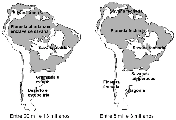 Trecho original com figura, tabela ou fórmula da questão 12 do ENEM 2006 - Caderno Amarelo.