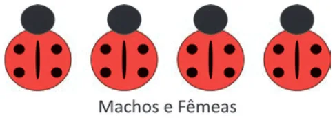 Alternativa C da questão 102 do ENEM 2025 - 2º Dia – Caderno 5 – Amarelo – Aplicação Regular.