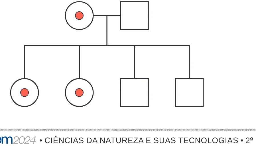 Alternativa C da questão 93 do ENEM 2024 - 2º Dia – Caderno 8 – Verde – Aplicação Regular - (Superampliada).