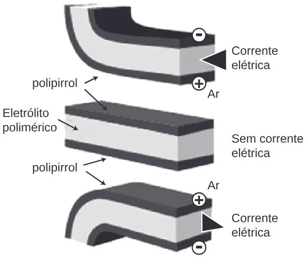 Trecho original com figura, tabela ou fórmula da questão 53 do ENEM 2013 - 1º Dia - Caderno 3 - Branco – Aplicação regular.