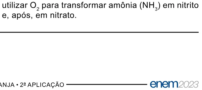 Alternativa E da questão 105 do ENEM 2023 - 2º Dia – Caderno 11 – Laranja (braile e ledor) – Reaplicação/PPL.