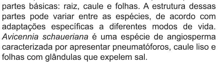 Trecho original com figura, tabela ou fórmula da questão 128 do ENEM 2021 - 2º Dia – Caderno 11 – Laranja (braile e ledor) – Aplicação Regular.