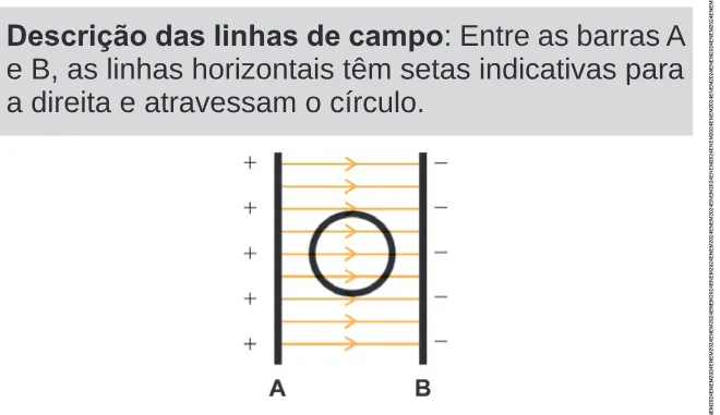 Alternativa A da questão 128 do ENEM 2024 - 2º Dia – Caderno 11 – Laranja (braile e ledor) – Aplicação Regular.